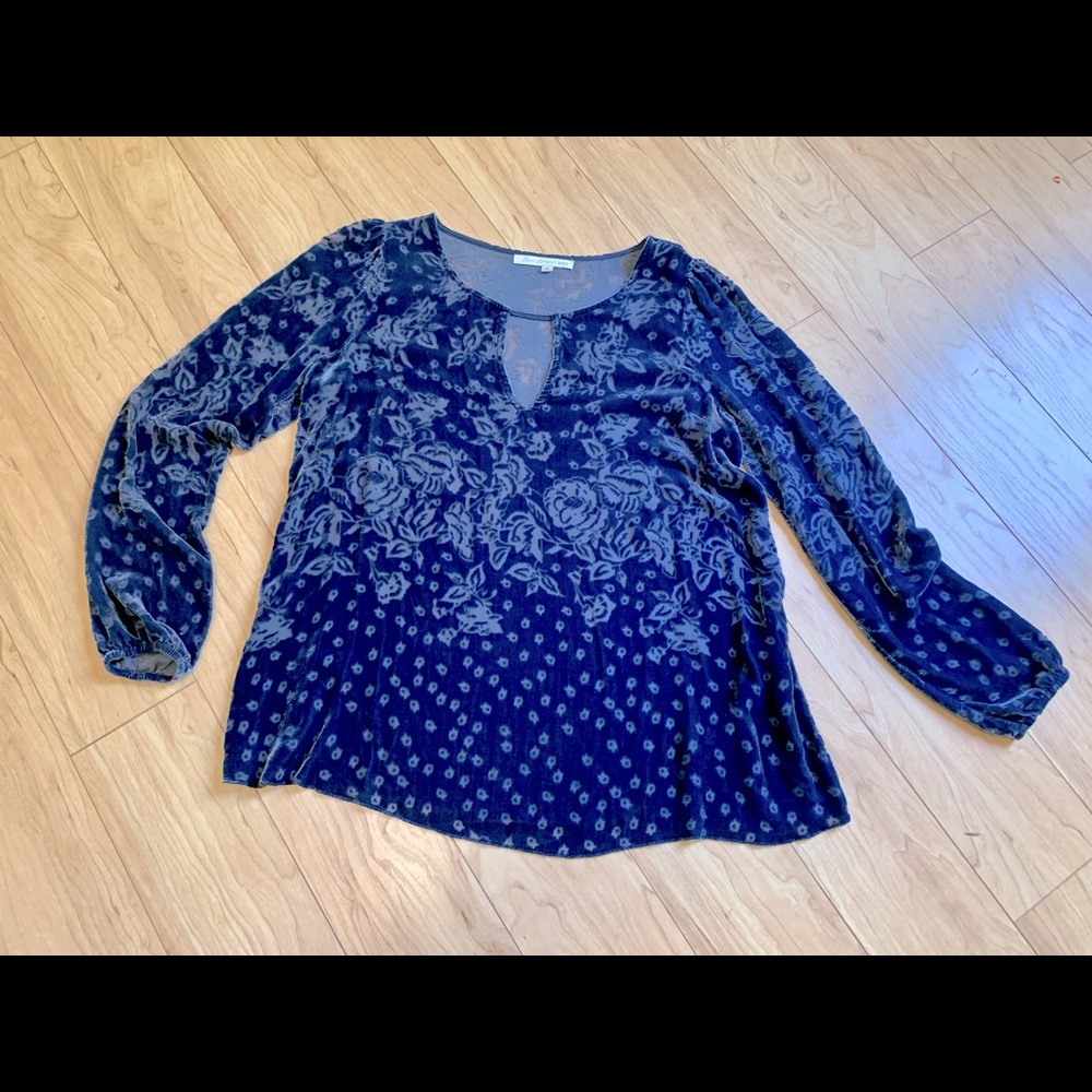 Johnny Was Blue Floral Burnout Deep V Long Sleeve Top